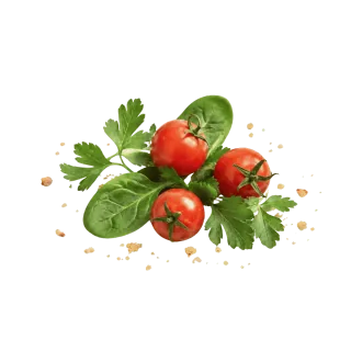 گوجه و سبزیجات تازه