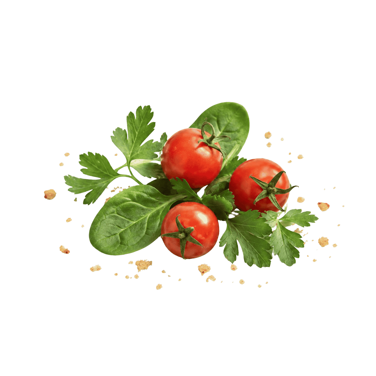 گوجه و سبزیجات تازه